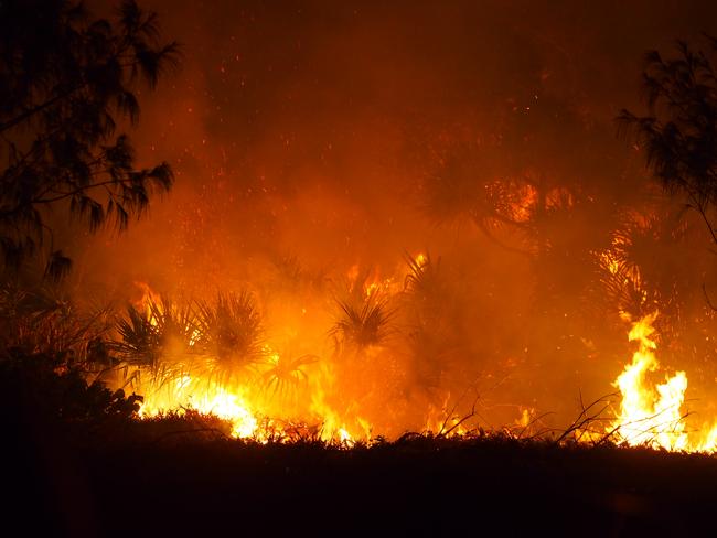 Last year’s wildfire on Fraser Island. Photo supplied Cathedrals on Fraser