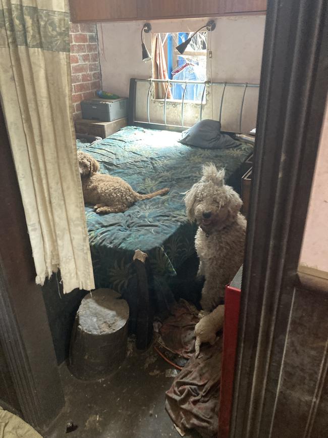 The RSPCA found filthy, squalid conditions with no fresh food or water available. Picture: RSPCA