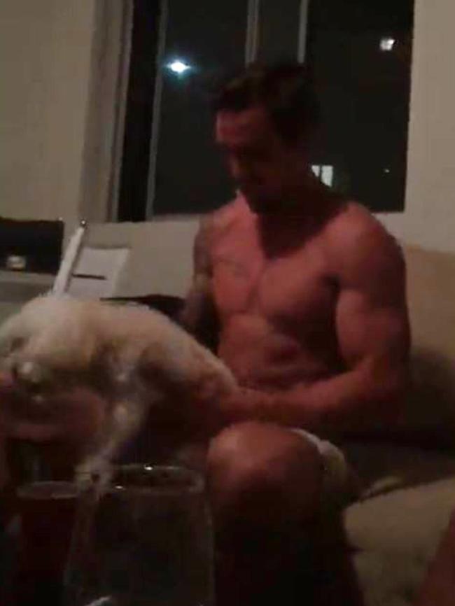 Mitchell Pearce simulating a sexual act on a dog picture: DiiMEX