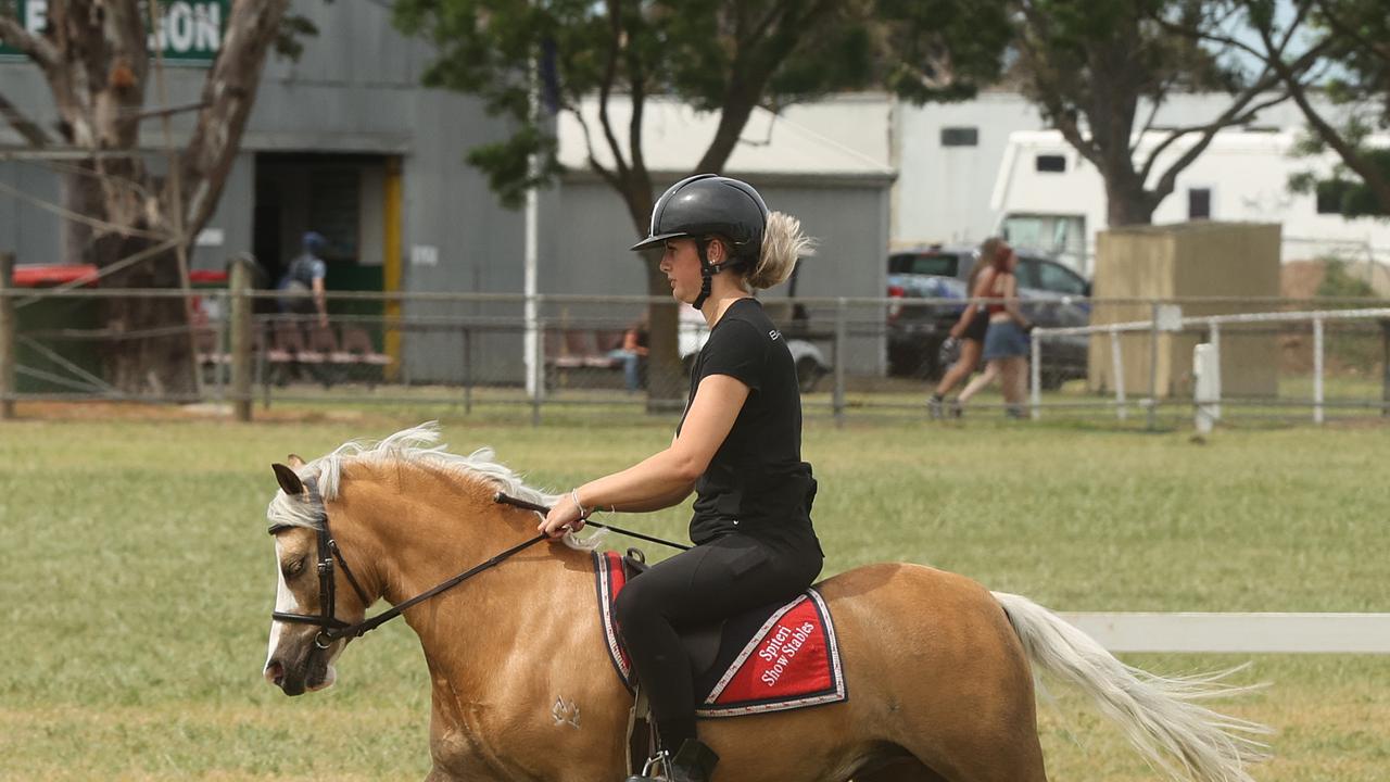 Horse events began on day one of the Geelong Show. Picture: Alison Wynd