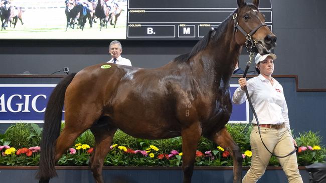 Trainers and syndication companies could find it tough to sell shares in yearlings amid the coronavirus crisis. Picture: Magic Millions