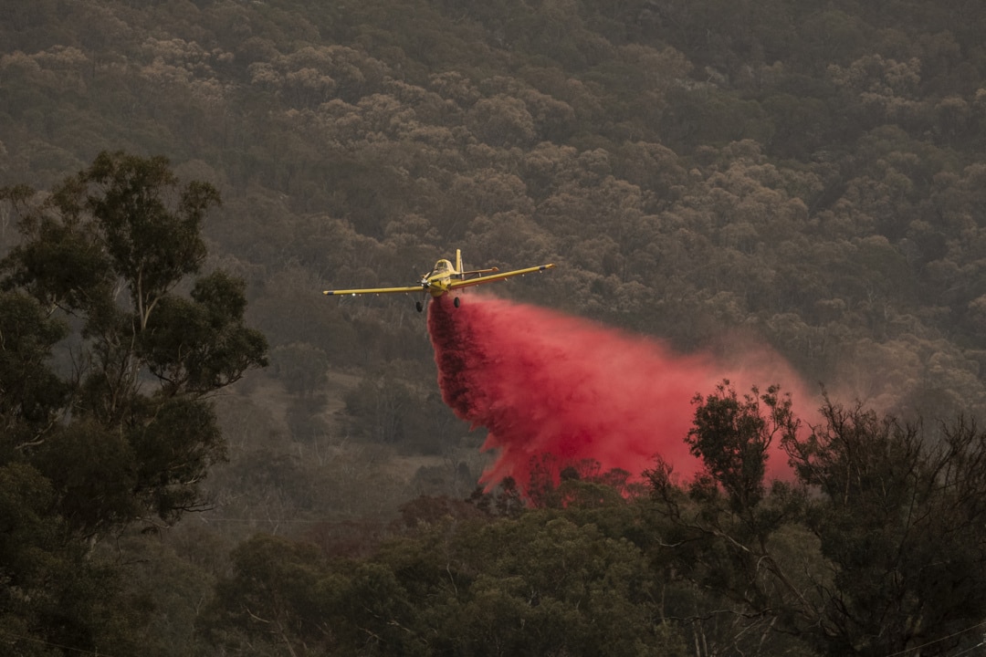 Bushfires: ACT Declares State Of Emergency, NSW Braces For Heatwave ...