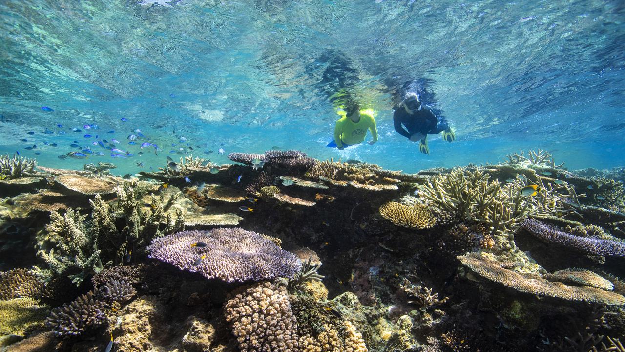 How La Nina will affect the reef in the Whitsundays | The Courier Mail