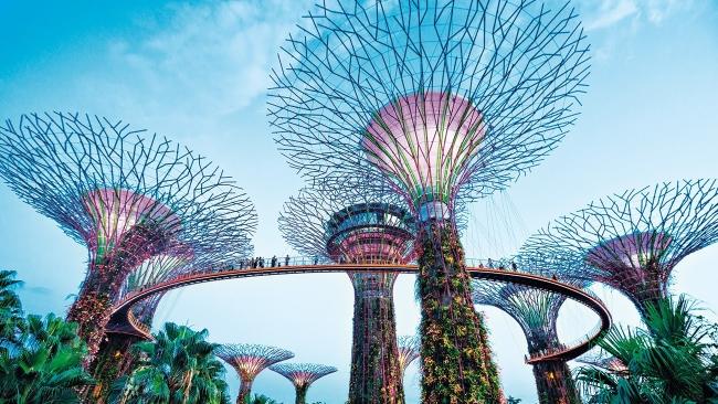 Gardens by the Bay, Singapore.