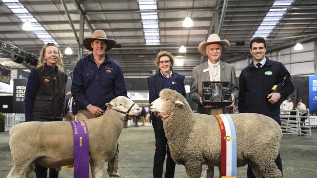 The grand champion and reserve interbreed rams.