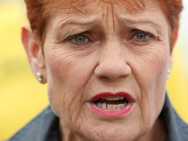 SATURDAY TELEGRAPH - Pictured outside a pre polling booth in Singleton today is One Nation Leader Pauline Hanson to support Local One Nation Candidate Dale McNamara for the Upper Hunter By Election. Picture: Tim Hunter.