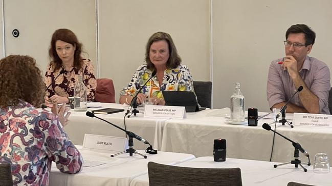 The supermarket pricing select committee heard submissions from local growers and farming advocates in addition to the newly elected mayor of Bundaberg and representatives of agricultural and business peak bodies.