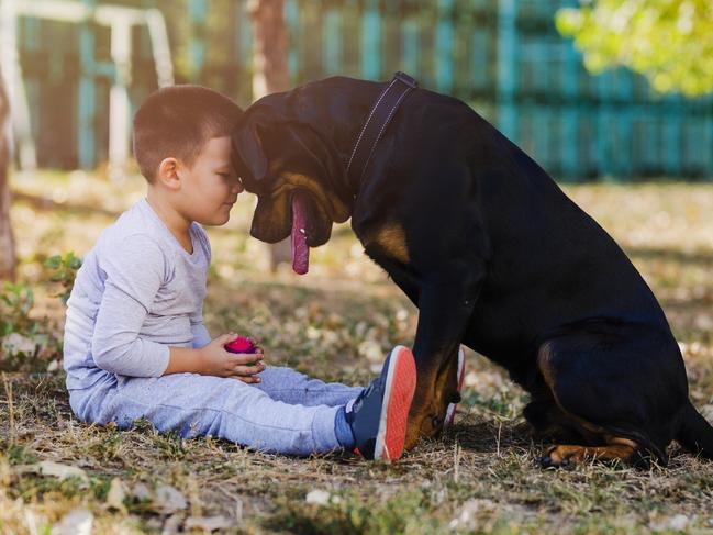 Pet ownership helps children regulate their feelings.