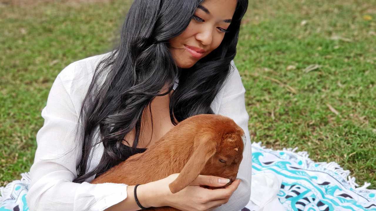 No kidding, baby goat meditation is here The Courier Mail