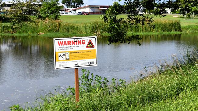 The Department of Environment, Science and Innovation confirmed on Tuesday that Wildlife Officers had been forced to remove a small crocodile from Palm Creek at Garbutt Park near Ingham State High School Picture: Cameron Bates