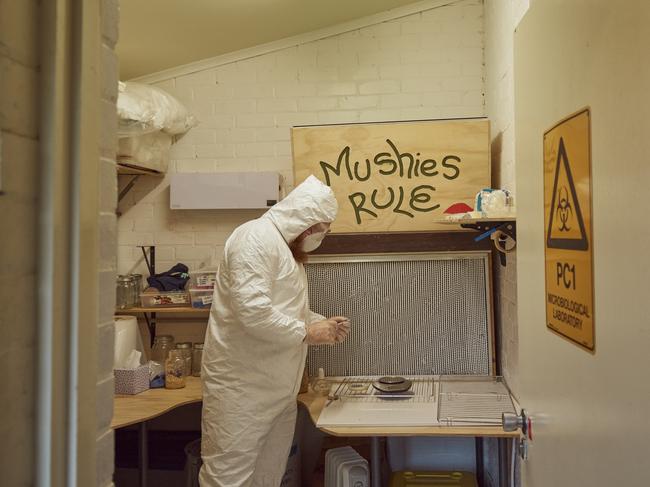 Muir Wilson in the mushroom lab. Picture: by Josh Robenstone