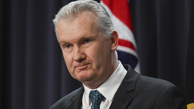 Tony Burke will take on an expanded role following a cabinet reshuffle. Picture: NewsWire / Martin Ollman