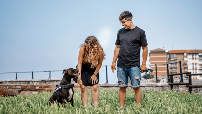 Researchers found that a pet companion is worth up to $145,000 a year in terms of life satisfaction. Image: iStock