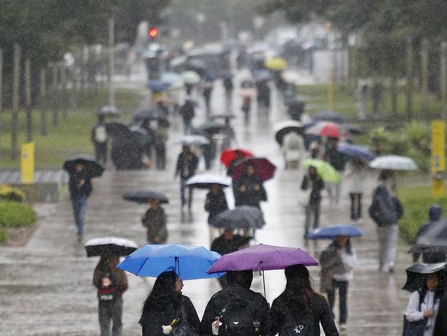 SYDNEY, AUSTRALIA - NewsWire Photos  SEPTEMBER 26, 2024: Students on campus at University of NSW in Kensington as consistent Rain drenches Sydney. Picture: NewsWire / John Appleyard