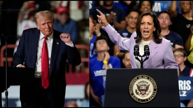 Trump vs. Harris: Contrasting messages in 2024 US presidential campaign rhetoric