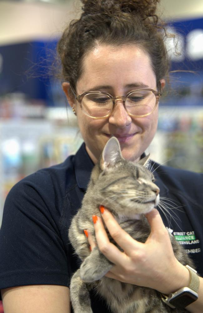 Molly Hall, a volunteer from Street Cat Alliance holds Pita a cat available for adoption. Picture: Christine Schindler