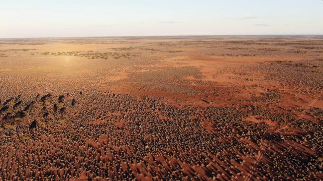 Save The Nullarbor