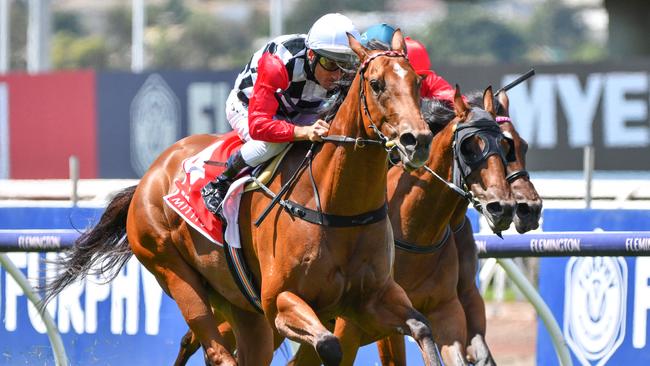 Both Brad and Gator agree this flying mare is the one to beat in the final leg of the quaddie. Picture: AAP