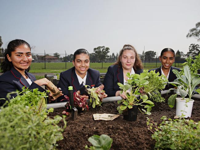 High school students Liyamaria Thomas, Srjan Sidhu, Jovana Kostic and Somika Singh in their school garden. Picture: Adam Yip