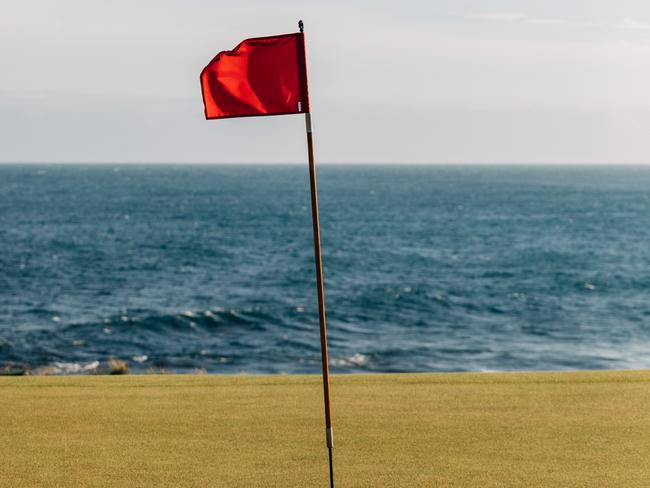 Cape Wickham is less than 10-years-old. Picture: Adam Gibson