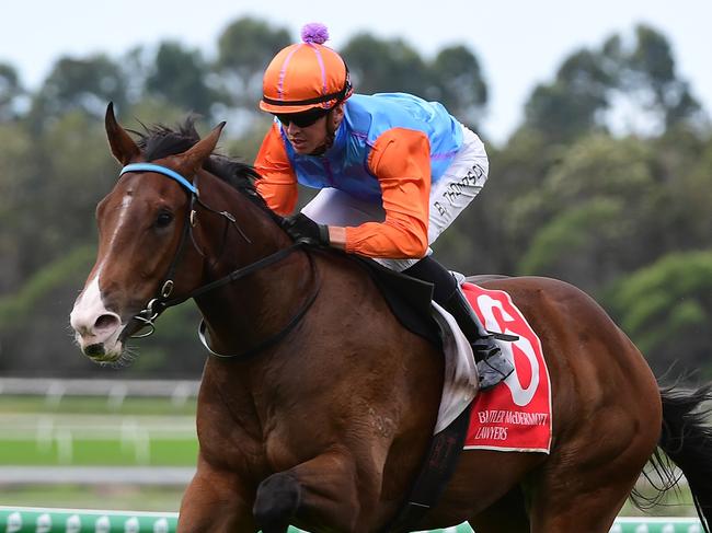 Rob Heathcote two-year-old Prince Of Boom winning on the Sunshine Coast, , Pics Grant Peters, Trackside Photography