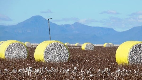 Milton Downs is one of Australia’s most renowned dryland cropping farms.