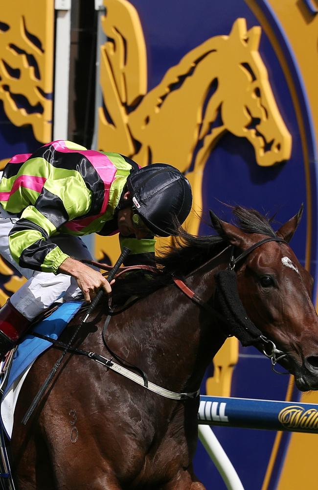 Suavito and Damien Oliver combine to win the Group 1 Futurity Stakes. Picture: George Salpigtidis