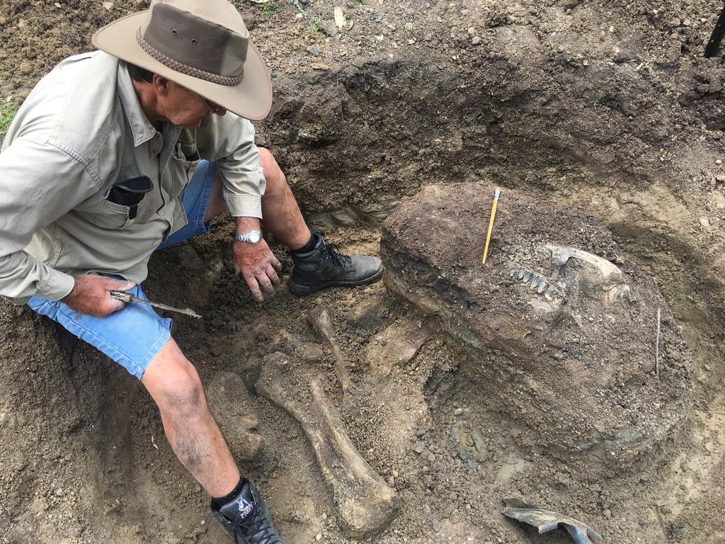 Pictures from the dig site of the Diprotodon fossils. Picture: Contributed