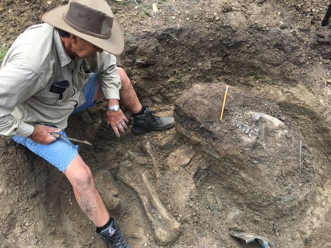 Pictures from the dig site of the Diprotodon fossils. Picture: Contributed