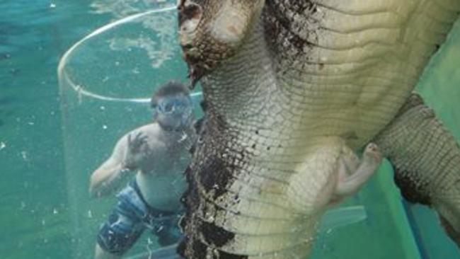 Horny croc at cage of death. Picture: Supplied