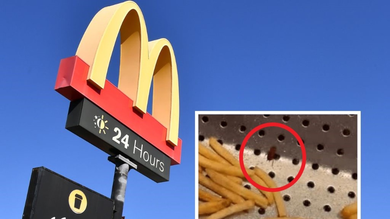 Cockroaches, maggots found in Maccas store