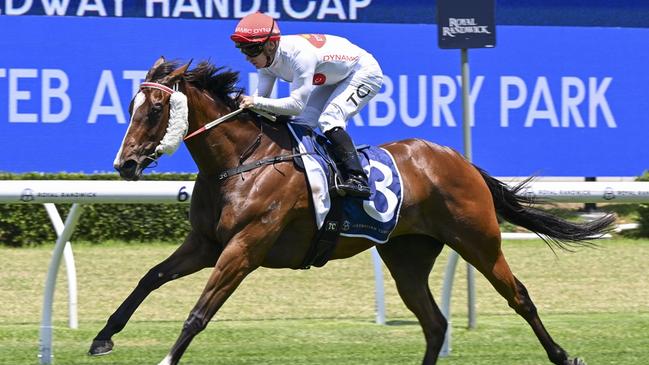 Rapt can book her place in the Provincial-Midway Championship Final with a win in the Hawkesbury Qualifier. Picture: Bradley Photos