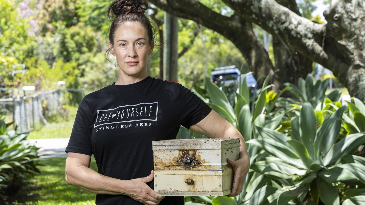 Beekeeper’s anguish after beehive worth $1k stolen