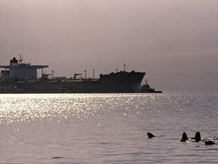 The US state and federal governments will not pursue extra damages for the Exxon Valdez oil spill.