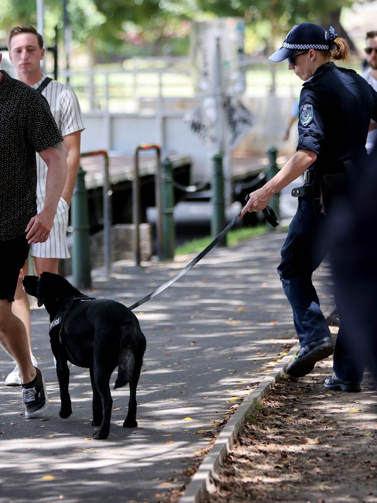 Police and a sniffer dogs on patrol outside the 2023 Field Day Festival in Sydney. Picture: NCA NewsWire/Damian Shaw.