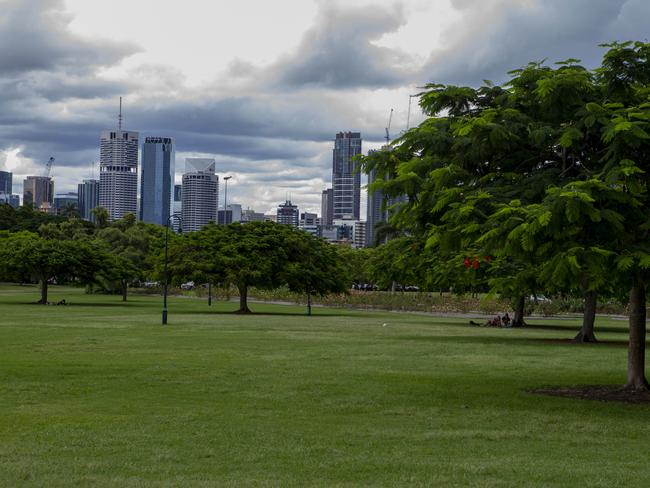 New Farm Park see’s more than a million visitors a year. Picture: Jerad Williams