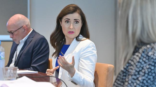 Liberal MP Rachel Sanderson. Picture: Keryn Stevens