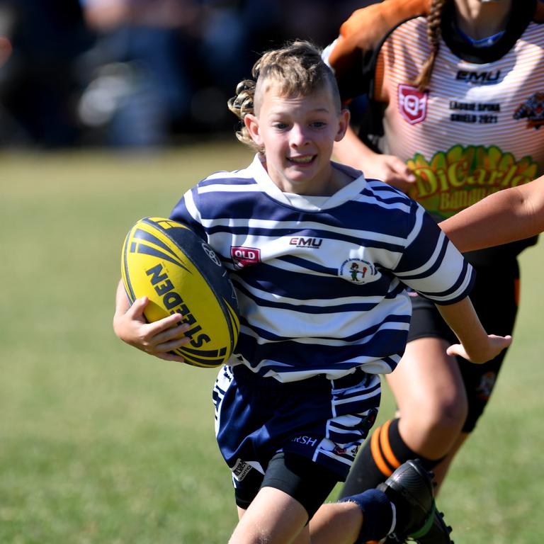 Laurie Spina Shield returns to Townsville | The Courier Mail