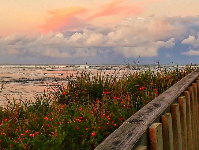 Urunga boardwalk, snapped by Bronwyn Hawkes. Coffs cover photo. June 11, 2021.