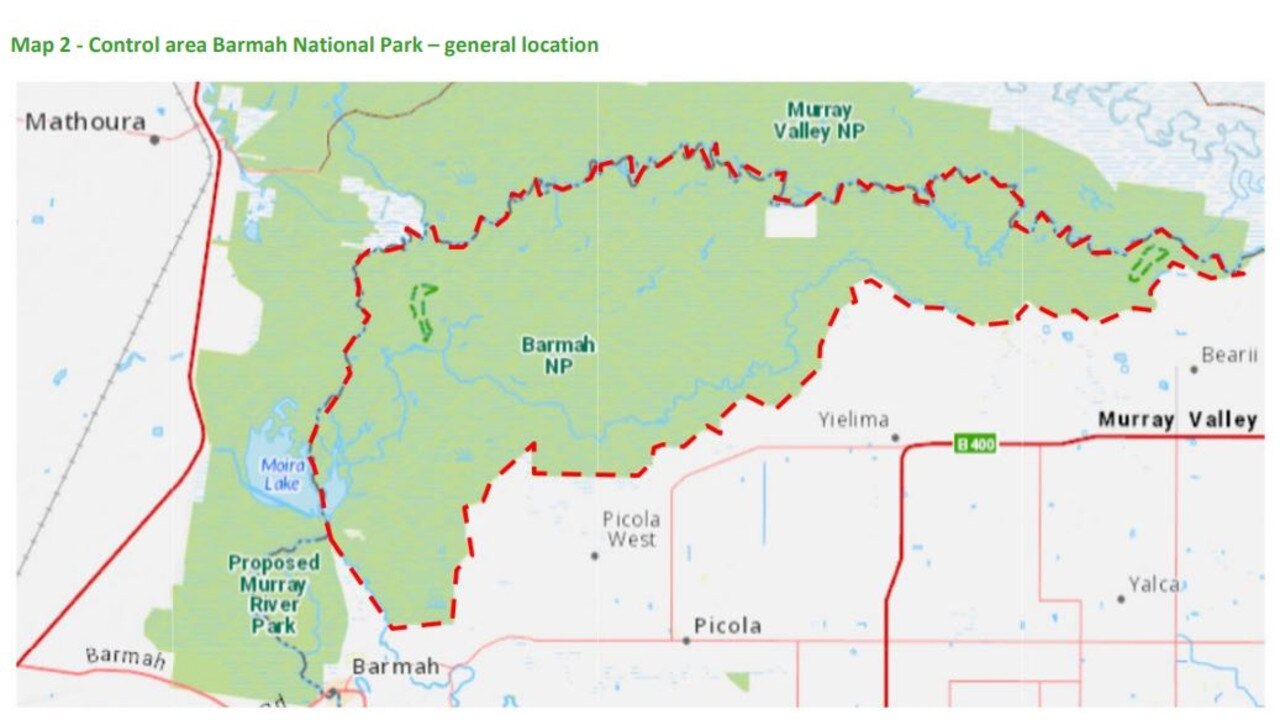 Brumby Cull: Parks Victoria Calls For Contractors To Ground Shoot ...