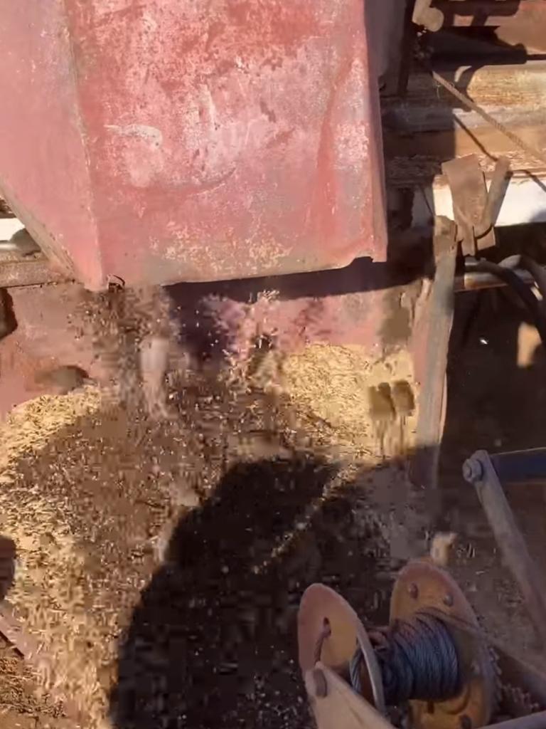 Mice were caught spilling out of farm equipment during the 2021 plague. Picture: Facebook via NewsWire