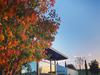 Which McLaren Vale wine scored 99 points?