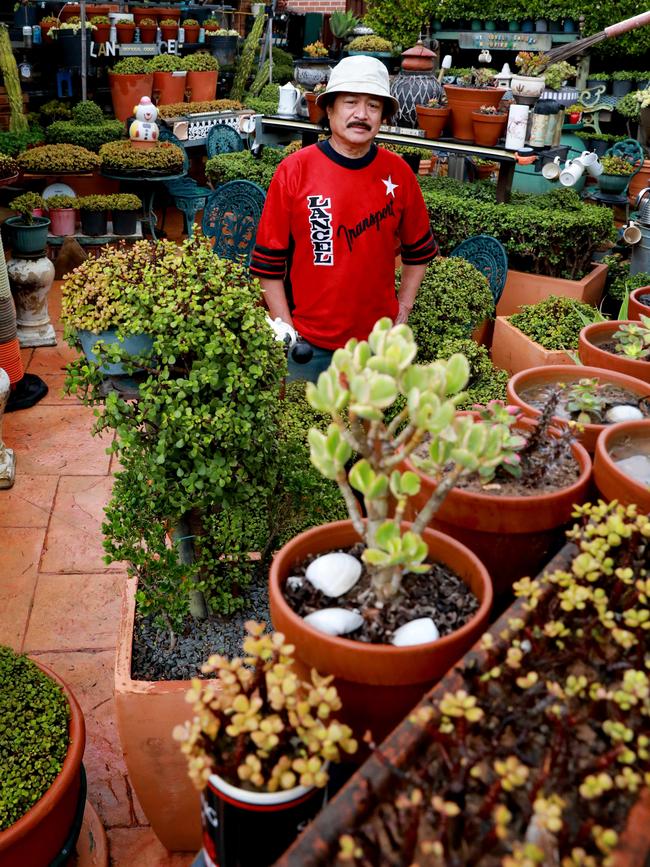 A myriad pots cram into the yard. Picture: Angelo Velardo