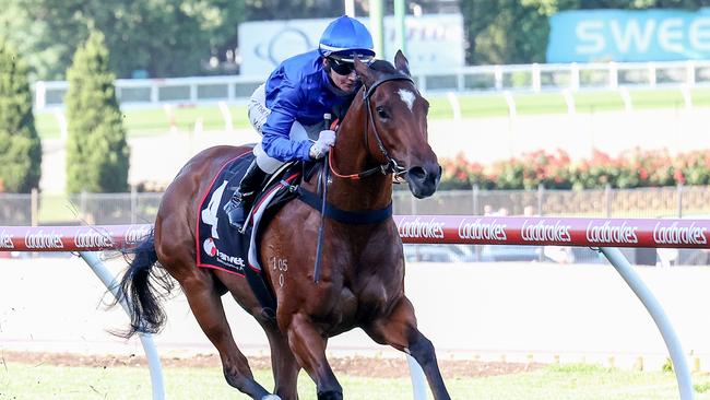 Jambalaya looks hard to beat on Saturday. Picture: George Sal/Racing Photos