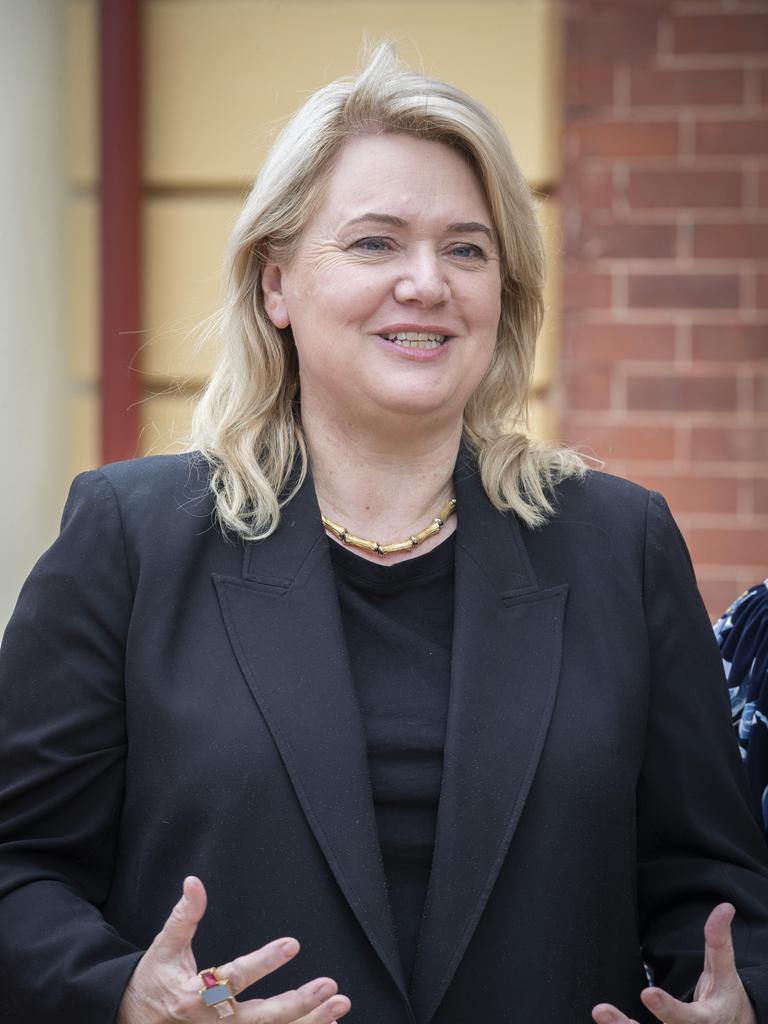 Madeleine Ogilvie MP at the Peacock Centre. Picture: Chris Kidd