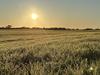 ‘Worst in 60 years’: Frost comes at a cost as dire season continues