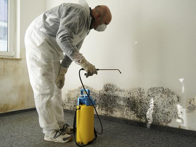 What to do about the mould in your home