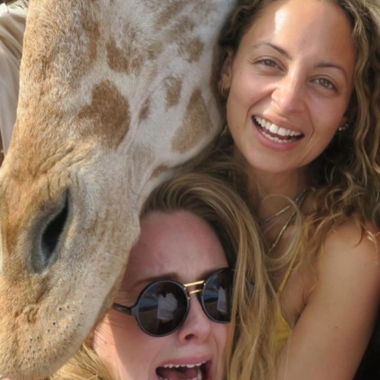 The singer is snapped screaming as they posed with a giraffe.