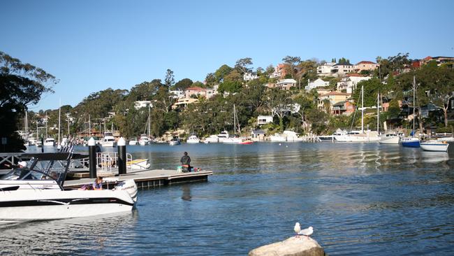 Harbour views from Cammeray’s Tunks Park.