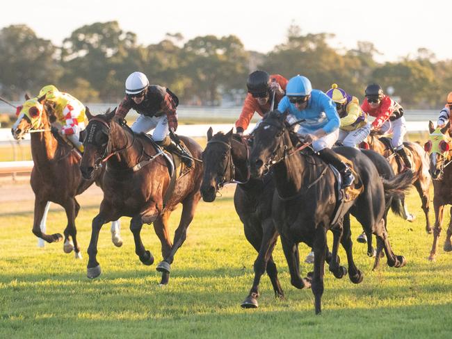 Race 7 - Westlawn Finance Race Day 2020